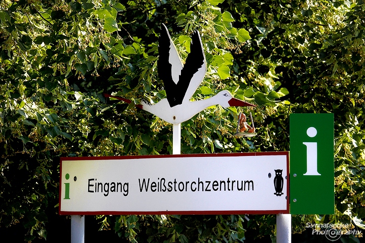 weissstorchzentrum-in-vetschau