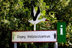 weissstorchzentrum-in-vetschau