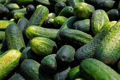 spreewaldgurken-02