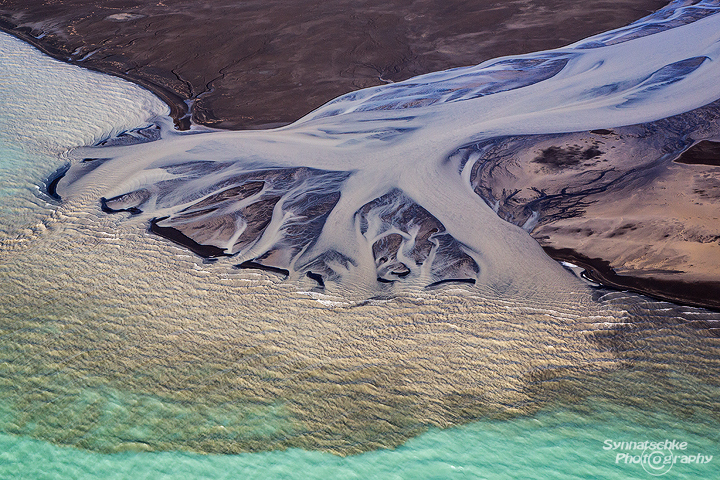 Glacial River Tree