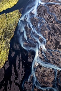 River Branches