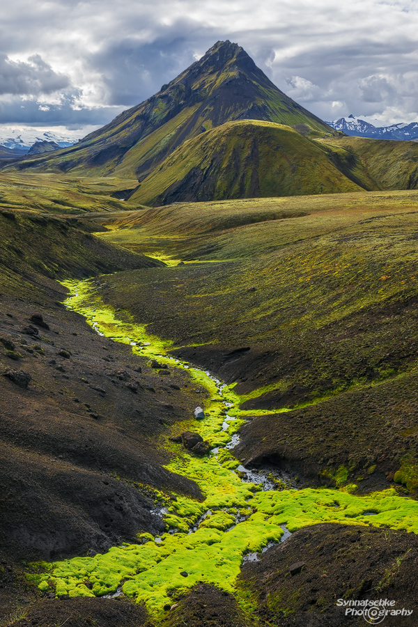 Along Laugavegur