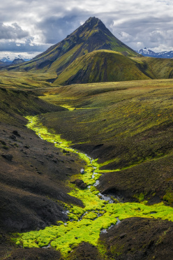 Along Laugavegur