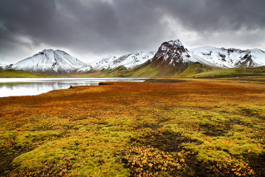 Fjallabak Fall Colors