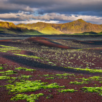 Green moss at sunset in the Icelandic Highlands