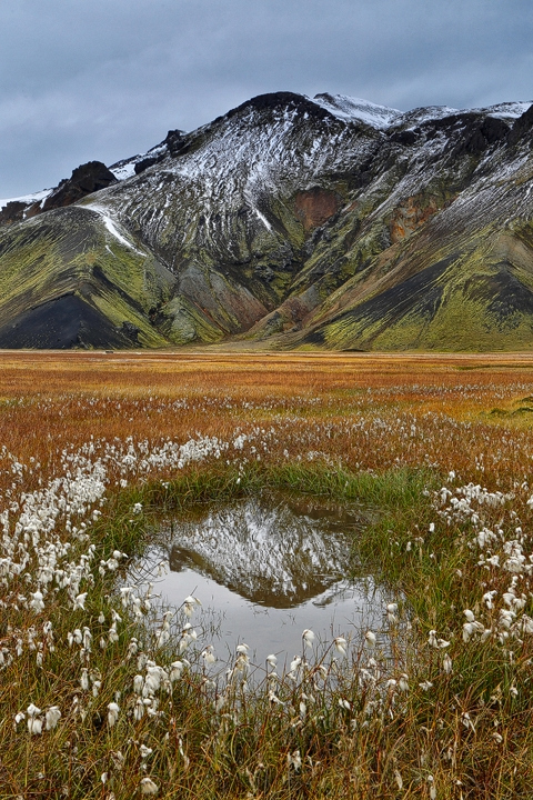 Landmannalaugar Reflection