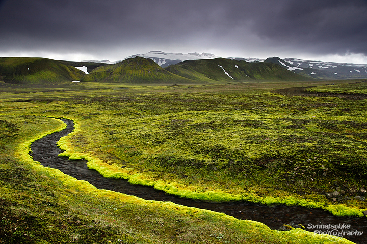 River of Moss