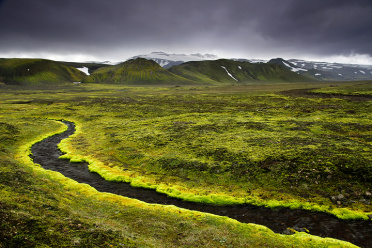 River of Moss