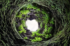 Cave of ferns