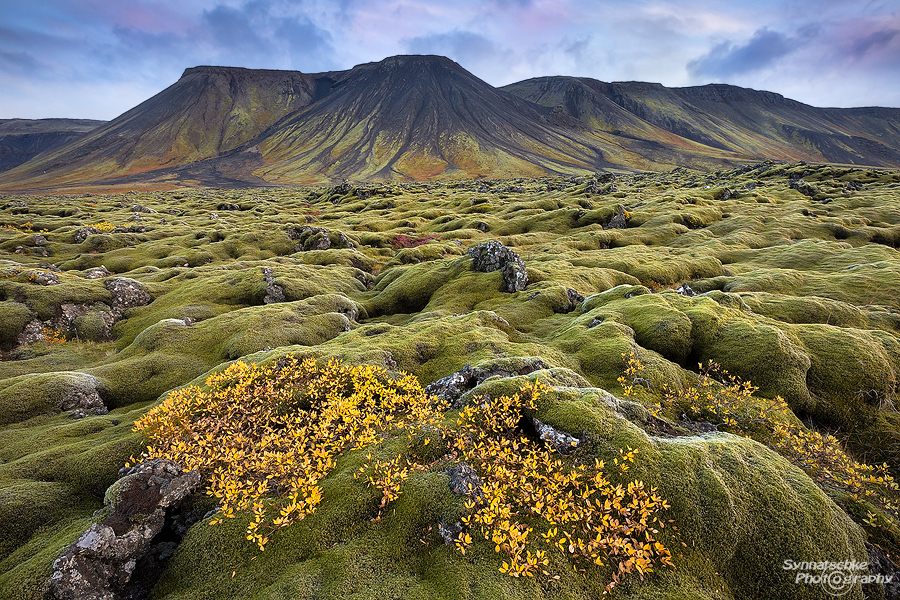 Eldhraun Fall Colors