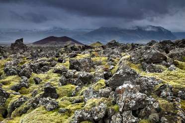 Volcano and Eldhraun (moss-covered lava boulders)
