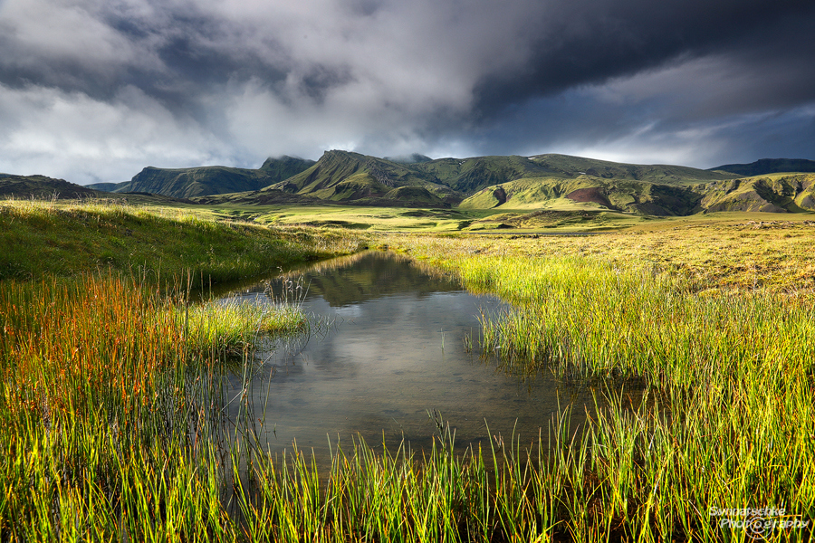 Grass meadows