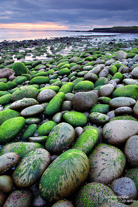 Green boulders by the beach