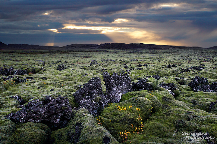 Moss-covered Hraun at Reykjanes