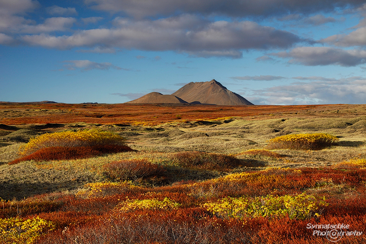 Indian Summer Colors