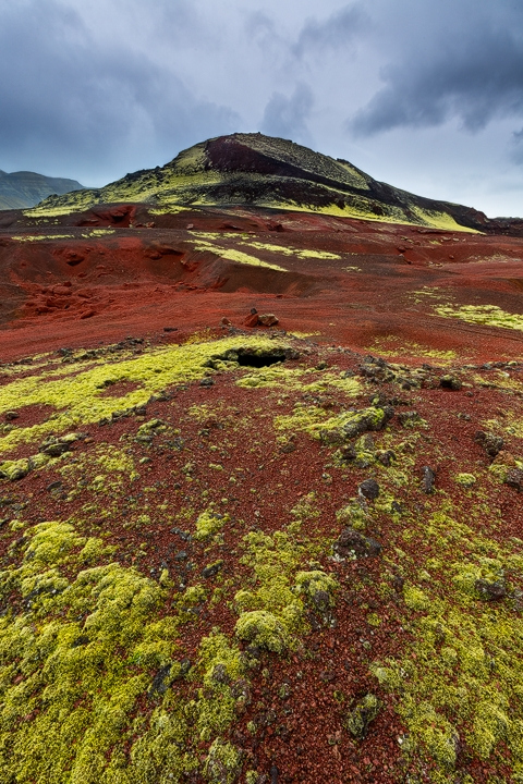 Red lava and moss