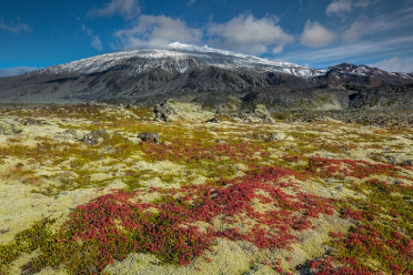 Snaefellsjokull Glacier