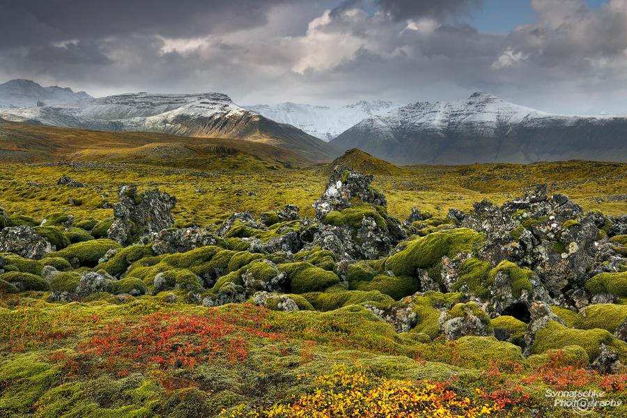 Snaefellsnes in autumn