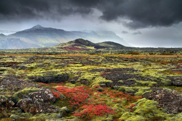 Volcano and mossy lava fields