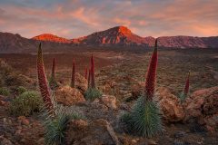 Caldera Tajinastes Rojos