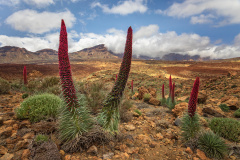 Tajinaste Caldera