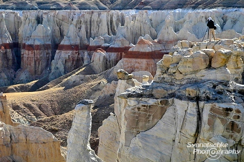 Photographer at Coal Mine Canyon