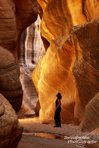 Willis Creek Gsenm