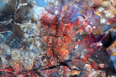 colorful-petrified-wood-2