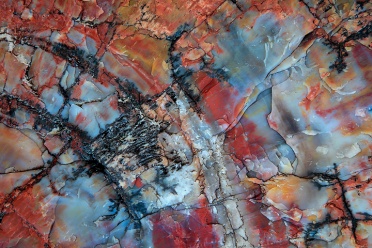 colorful-petrified-wood-5
