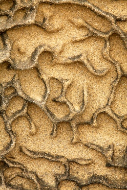 eroded-sandstone-1