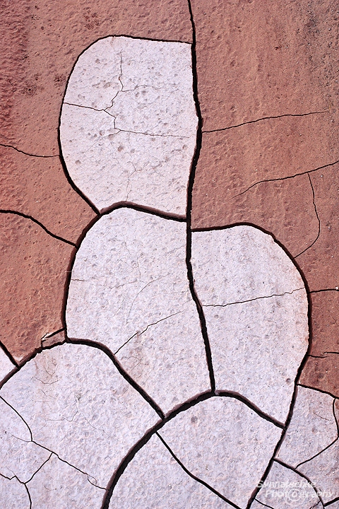 Colorful Mud Patterns