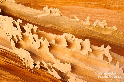 Sandstone Fins