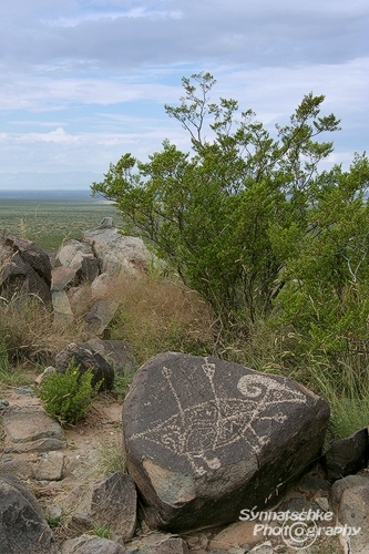 Bighorn Sheep Petroglyph