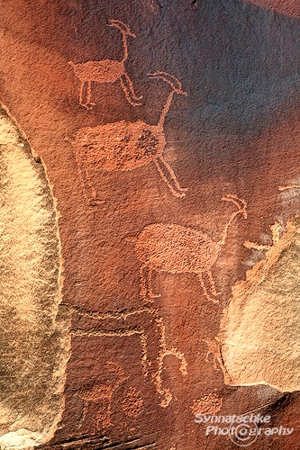 Mountain Goats Petroglyphs