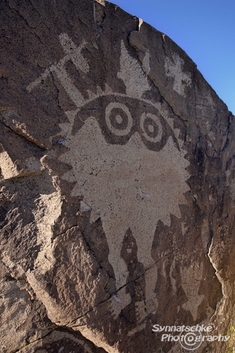 Warrior Panel