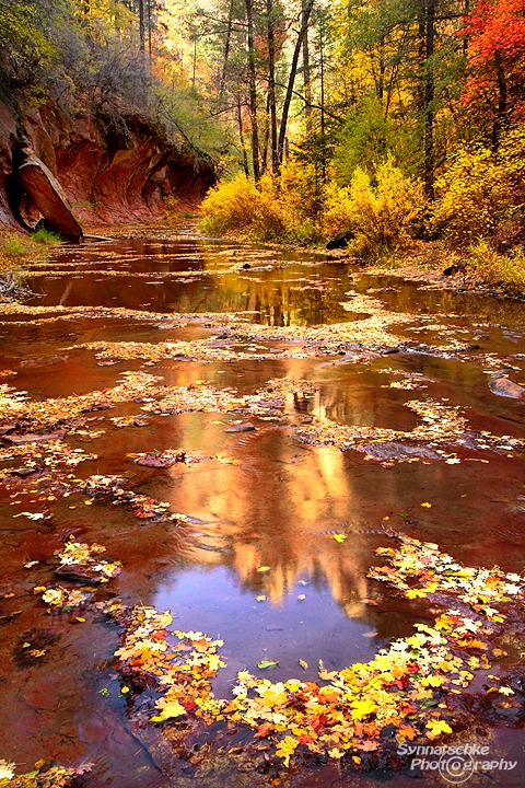 Fall Foliage at the West Fork of the Oak Creek