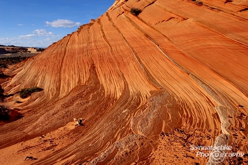 Ancient Sandstone Waves