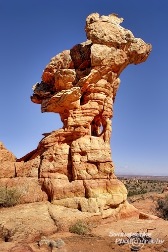 Animal Rock