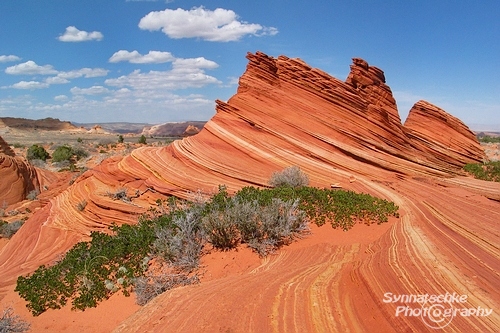 Cottonwood Cove Butte