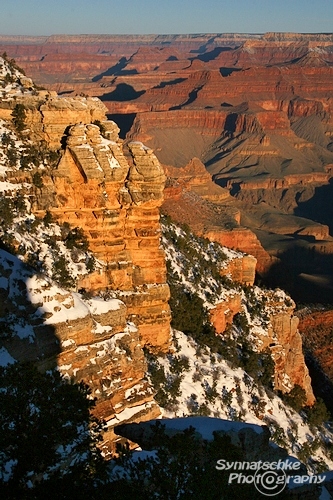 Grand Canyon After Sunrise
