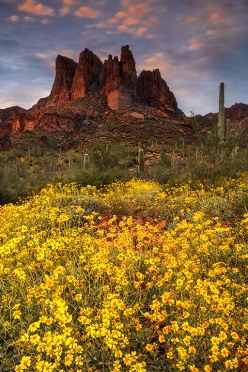 Superstition Mountains at Sunset