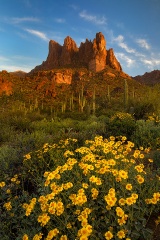 Superstition Sunrise