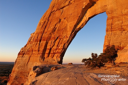 White Mesa Arch