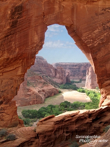 Window Arch