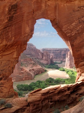 Window Arch