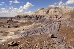 Blue Mesa Badlands