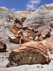 Badlands and Fossils