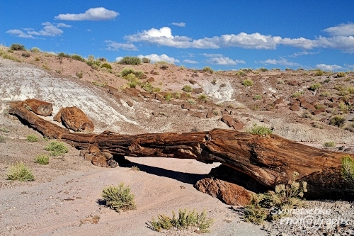 Onyx Bridge