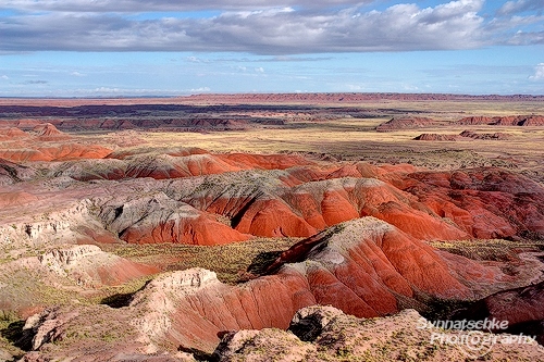 Painted Desert