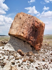 Petrified Hoodoo